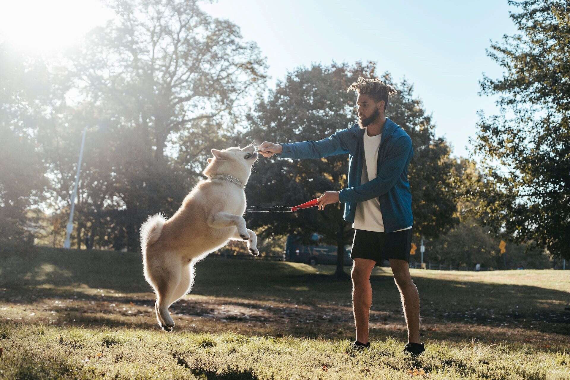 A man training his dog at a park