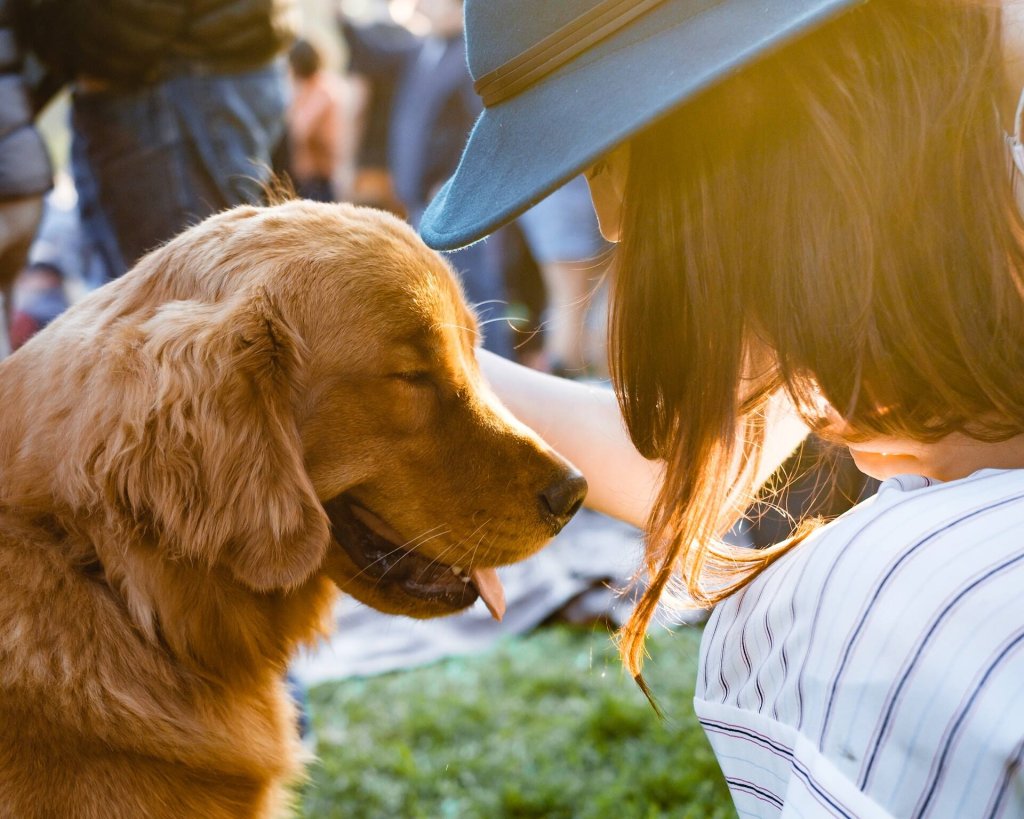 A therapy dog comforts a woman with their presence