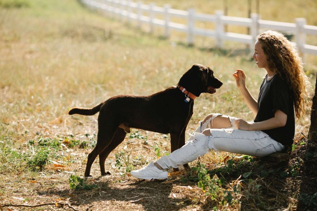 Une femme s'entraîne avec son chien