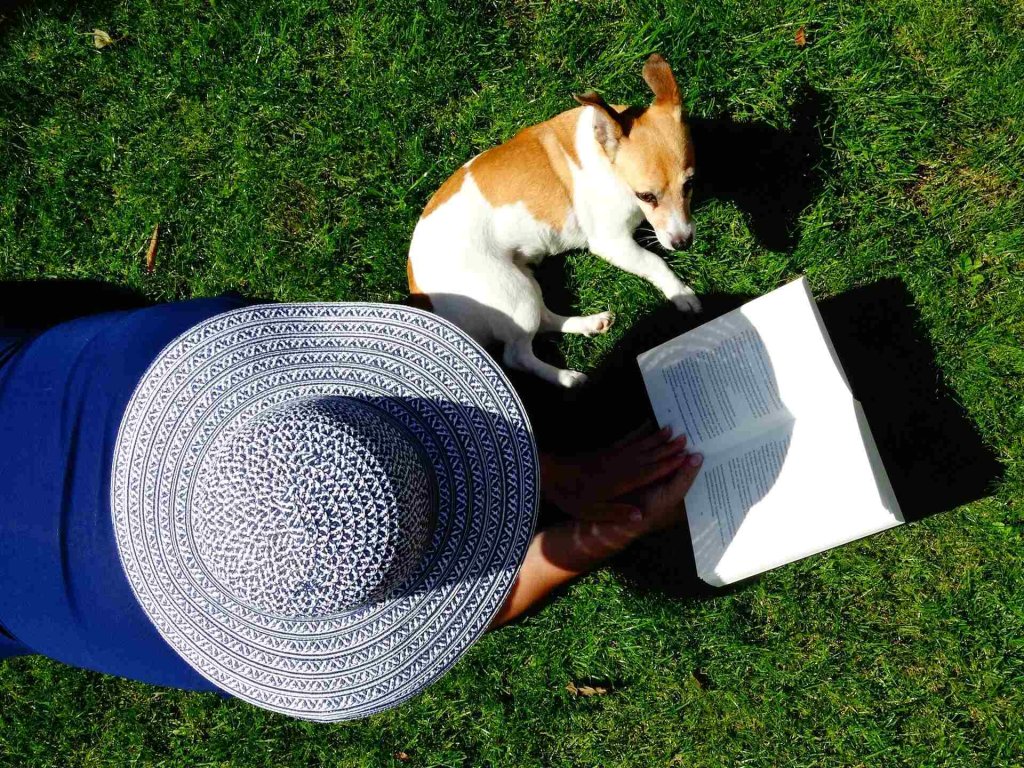 A woman reading a book on a lawn next to her dog