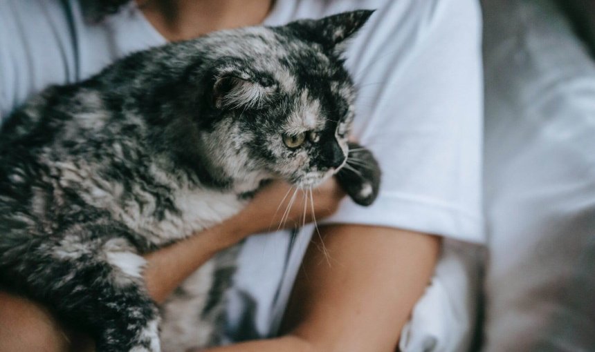 A woman hugging her cat close