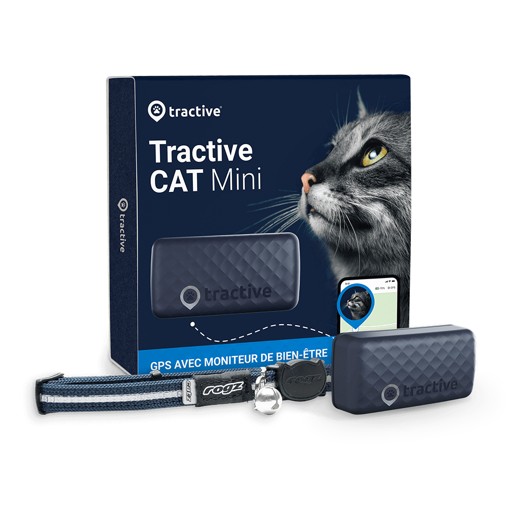 emballage d'un GPS Tractive cat mini