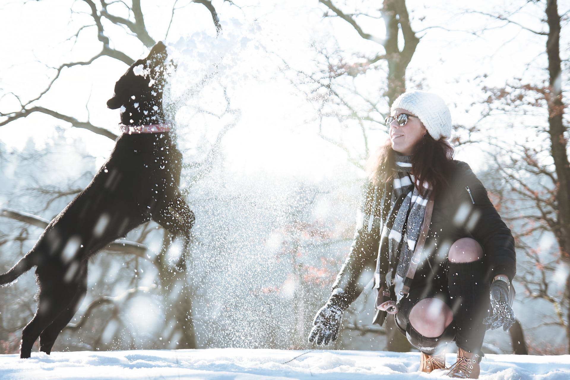 A woman playing with her dog in the snow