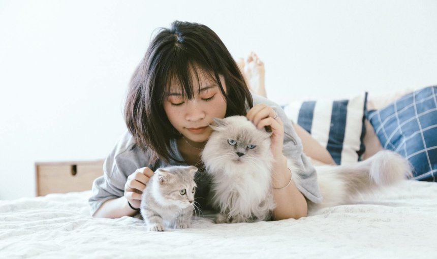 A woman lying in bed with two cats