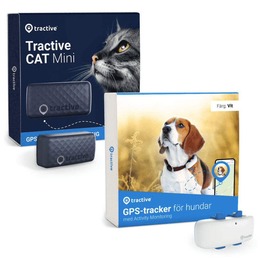 Tractive GPS spårare för hund och katt