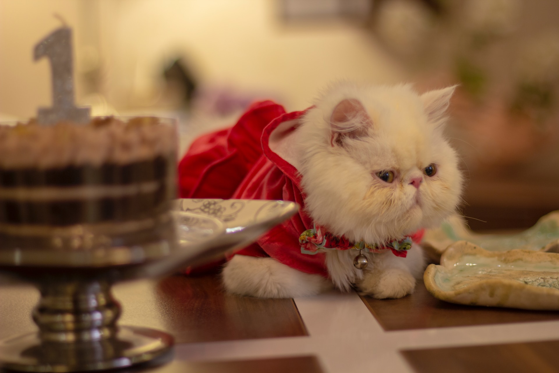 A cat sitting by a slice of cake on a table