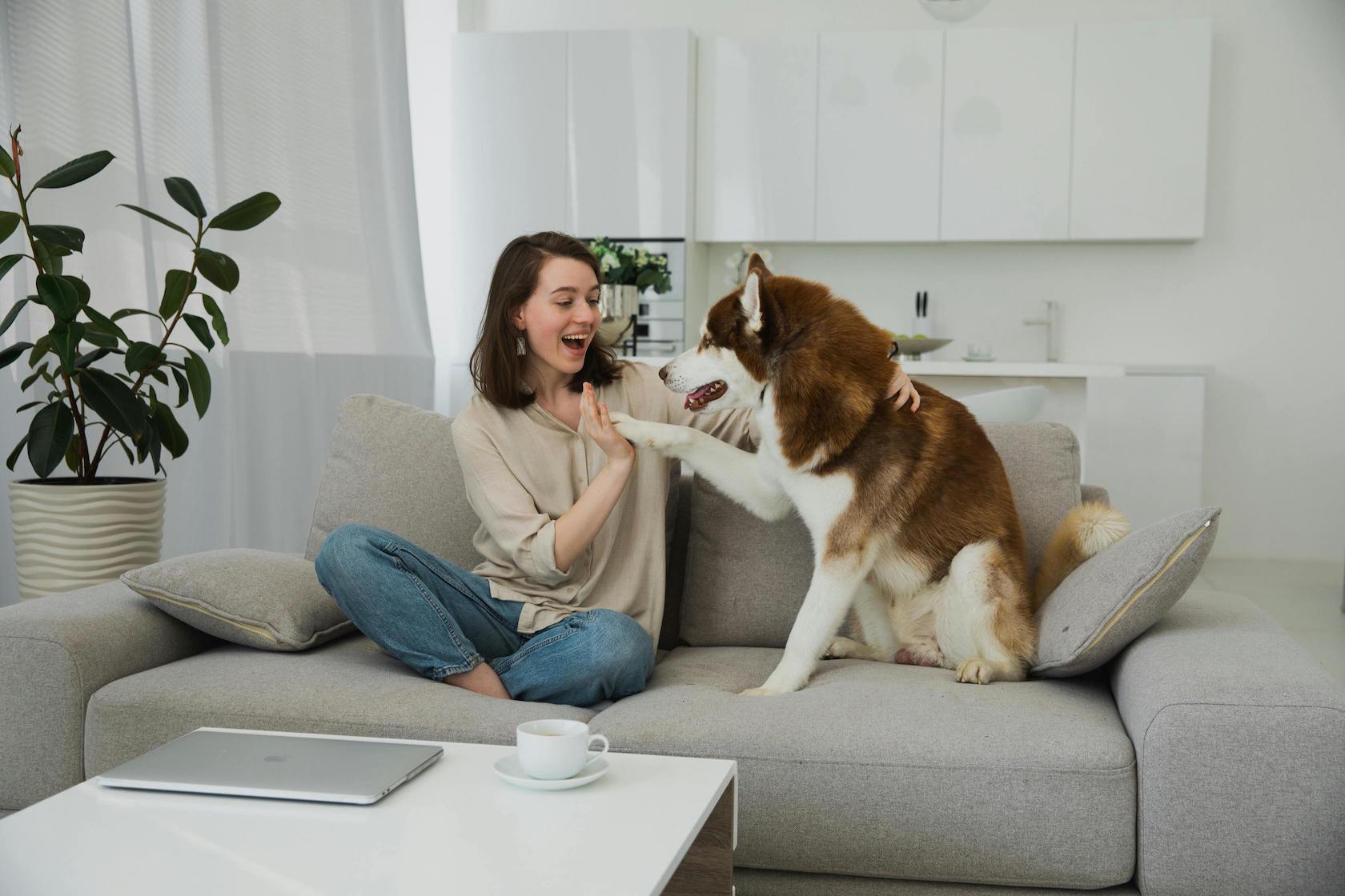 Frau sitzt. mit Husky auf der couch und trainiert mit ihm.