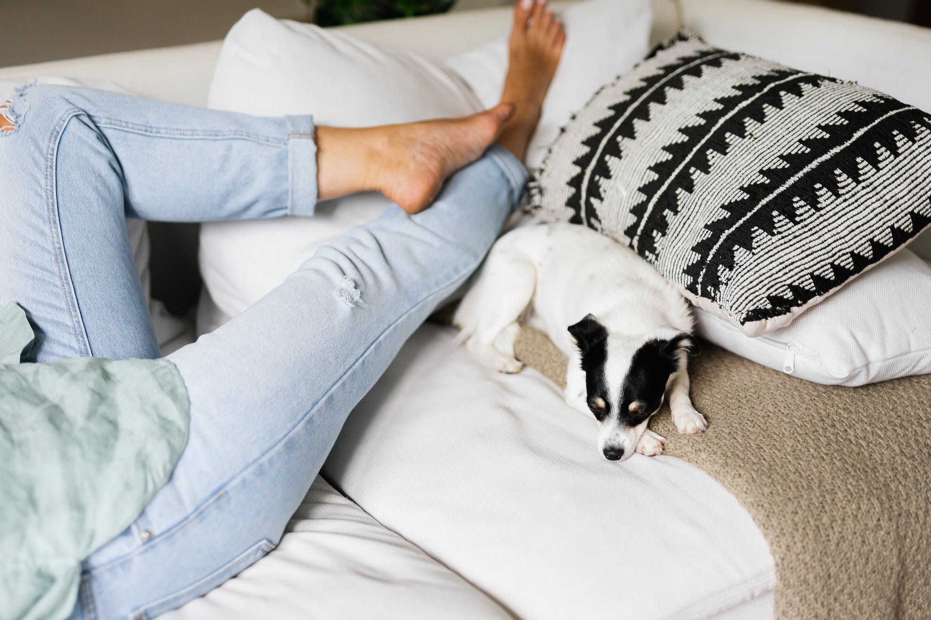 A woman resting on a couch beside her dog