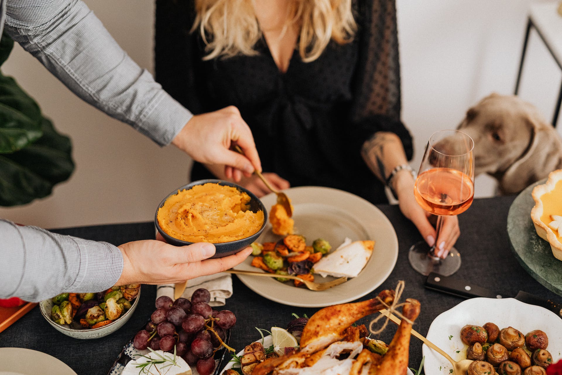 A Thanksgiving dinner table covered in food with a dog in the background