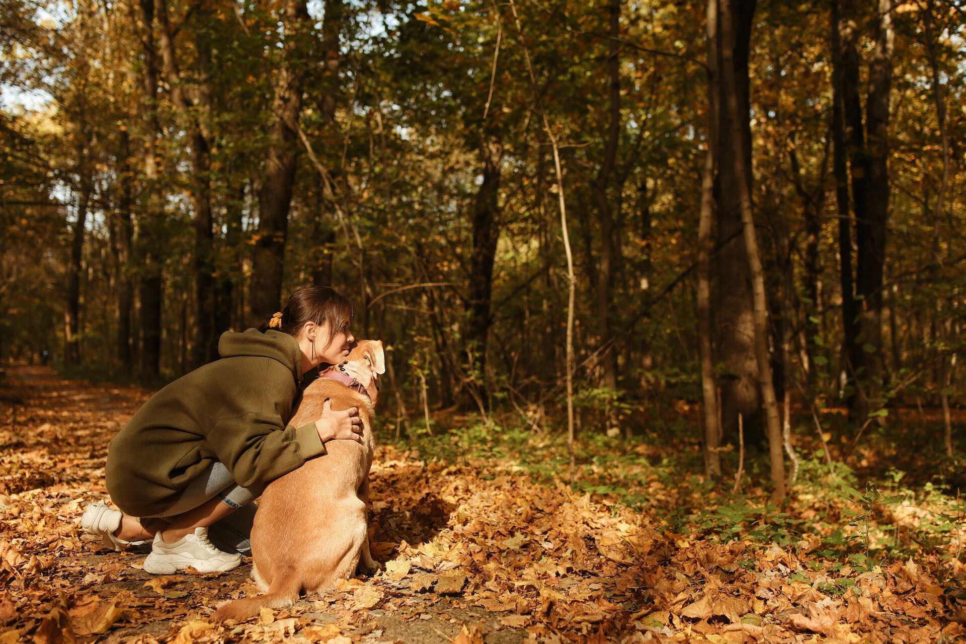 En kvinne som gir hunden sin en klem når de er ute i skogen