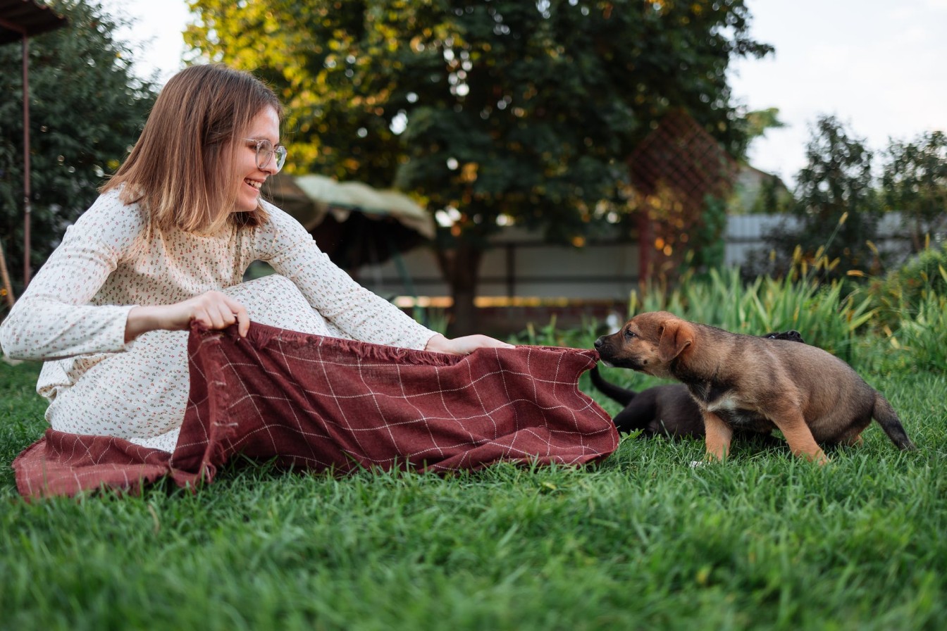 A woman playing with puppies in a lawn