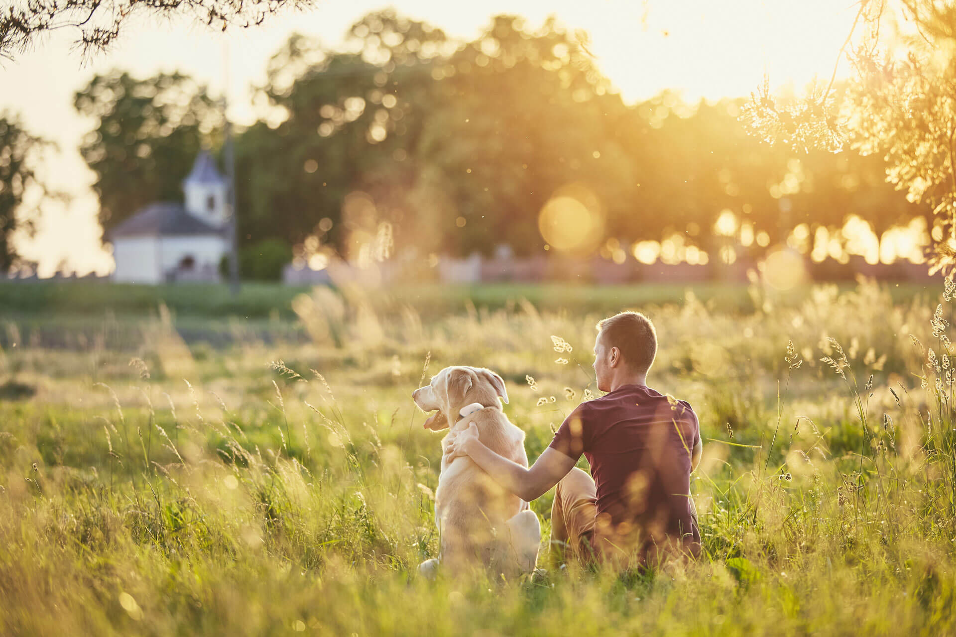 Mann sitzt mit seinem Hund, der GPS Tracker trägt, in einer Wiese