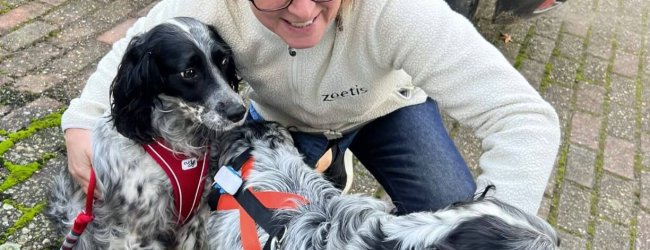 A woman hugging two rescued Setters that are wearing Tractive GPS trackers