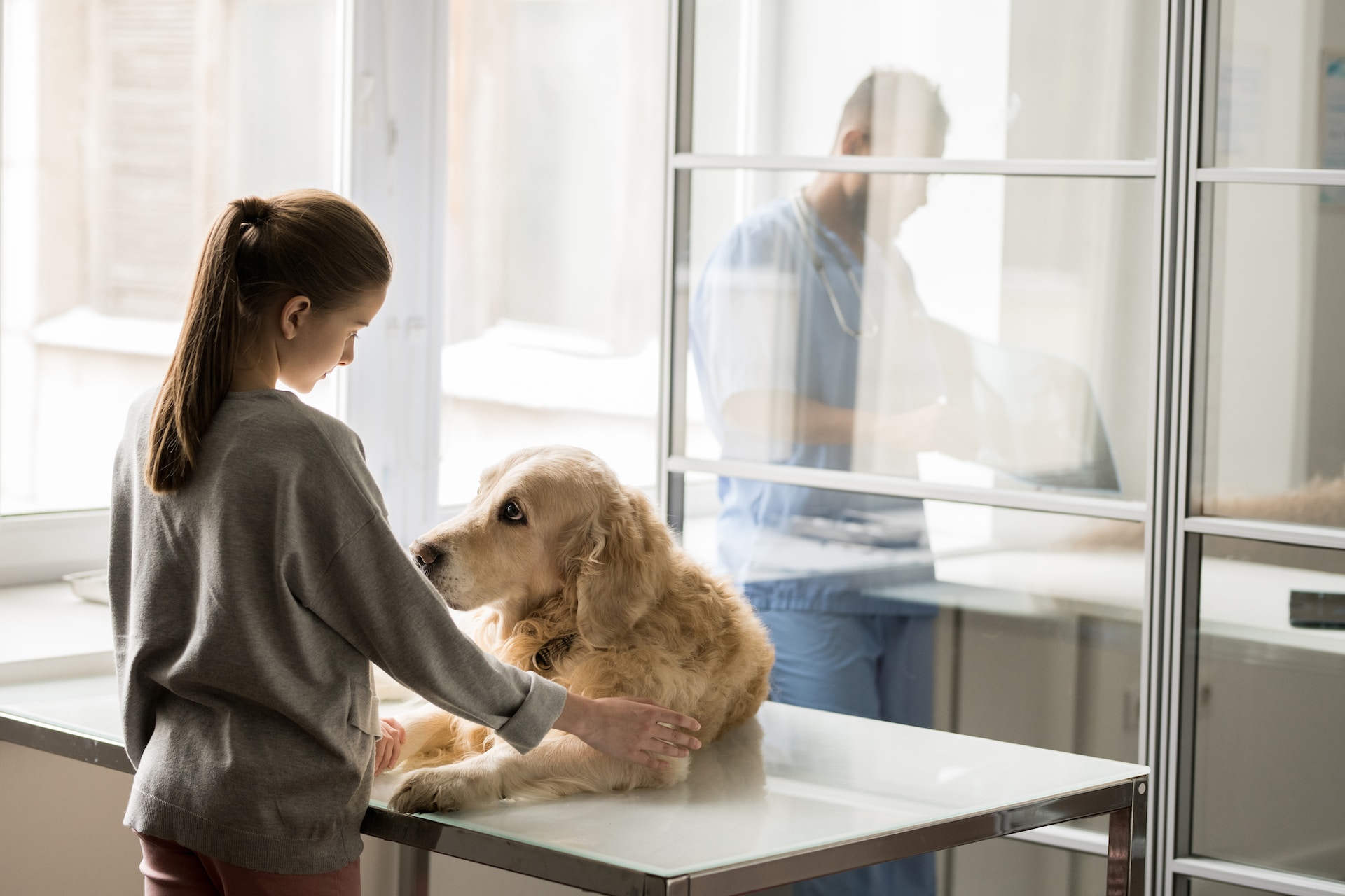 En ung pike som trøster en syk hund på en veterinærklinikk