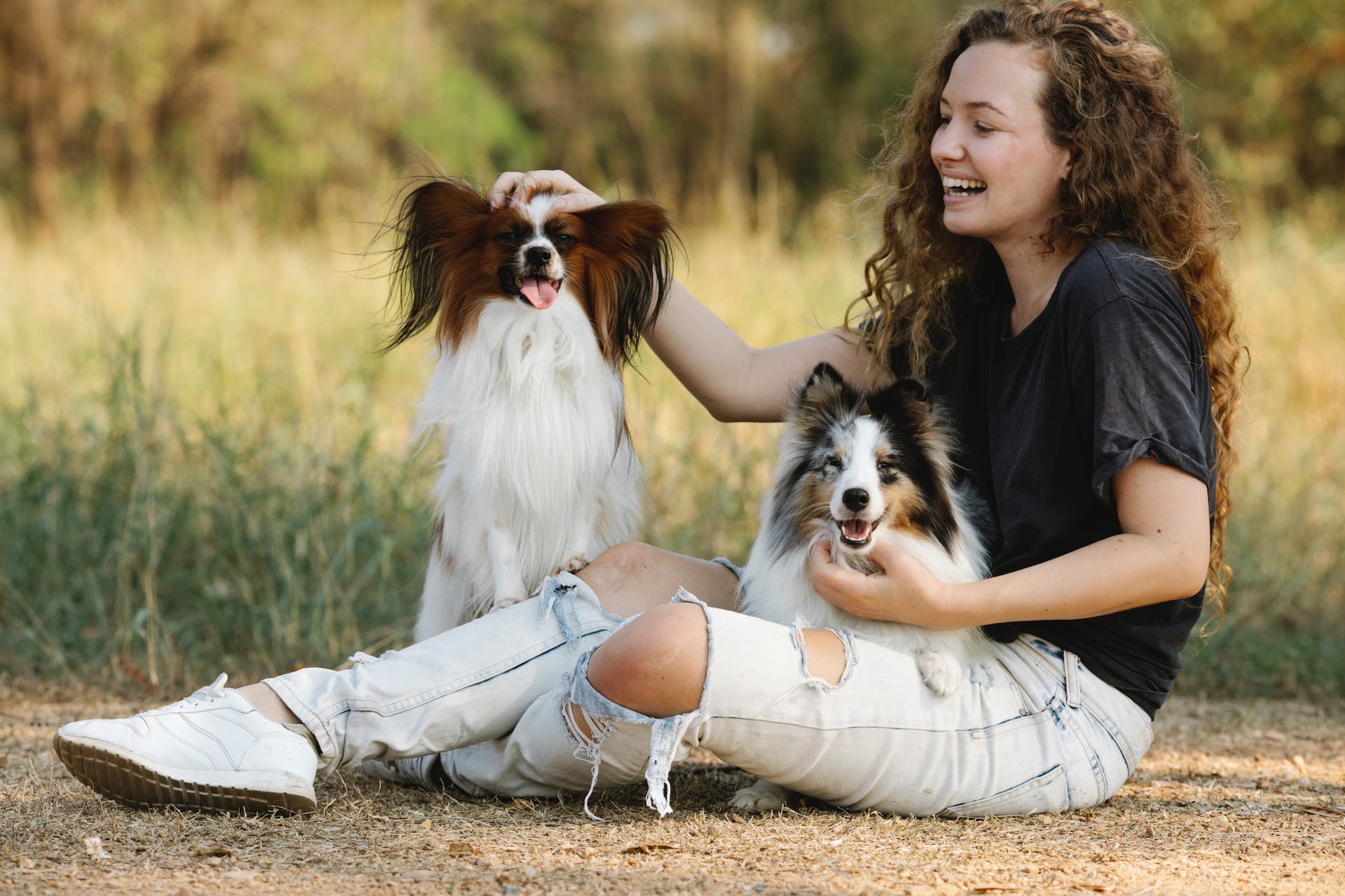 A woman sitting in a field with two dogs