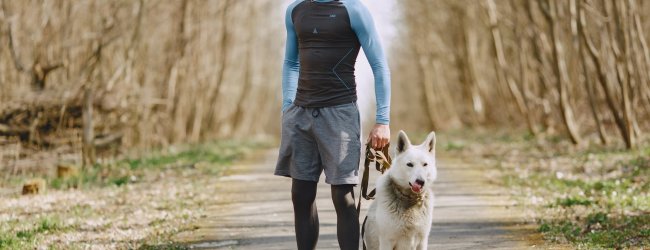 Hardloper met hond tijdens een wandeling in het bos