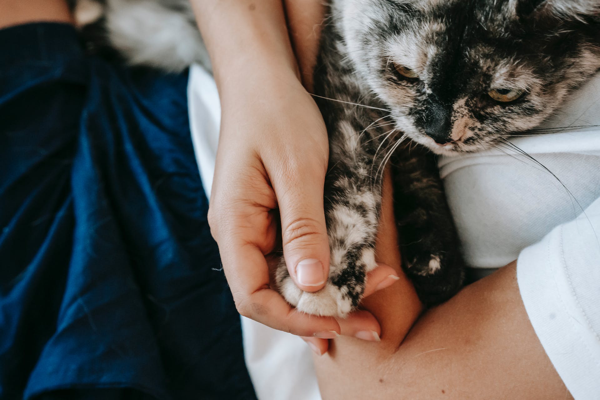 A woman holding a cat on a couch