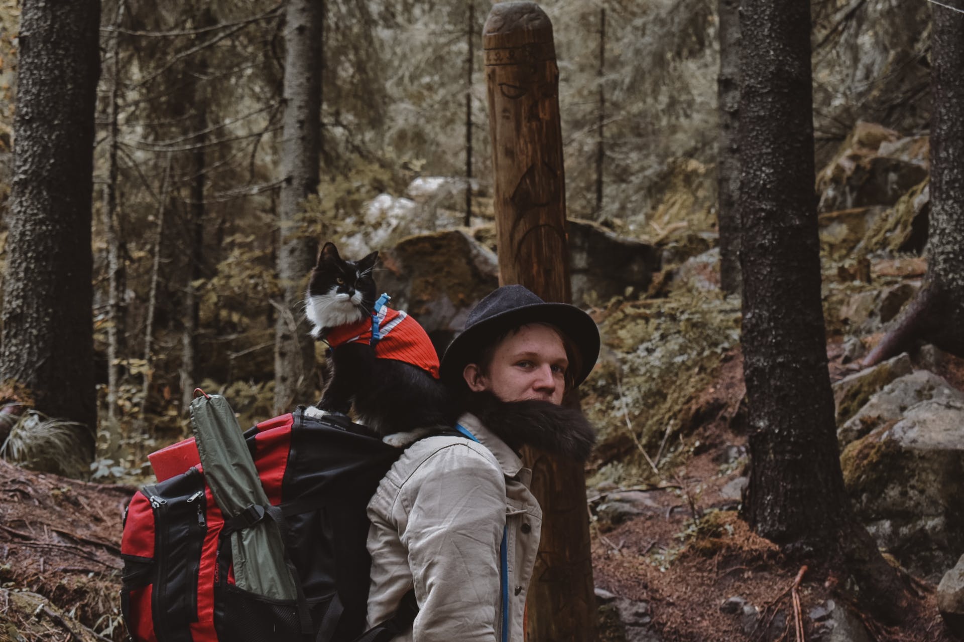 A man carrying a cat out on a hike on his shoulders