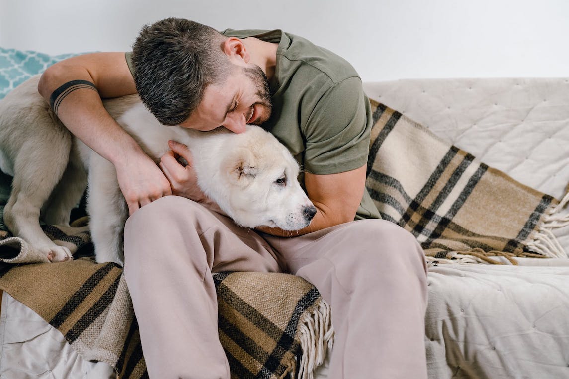 mann umarmt seinen Hund auf einer Couch