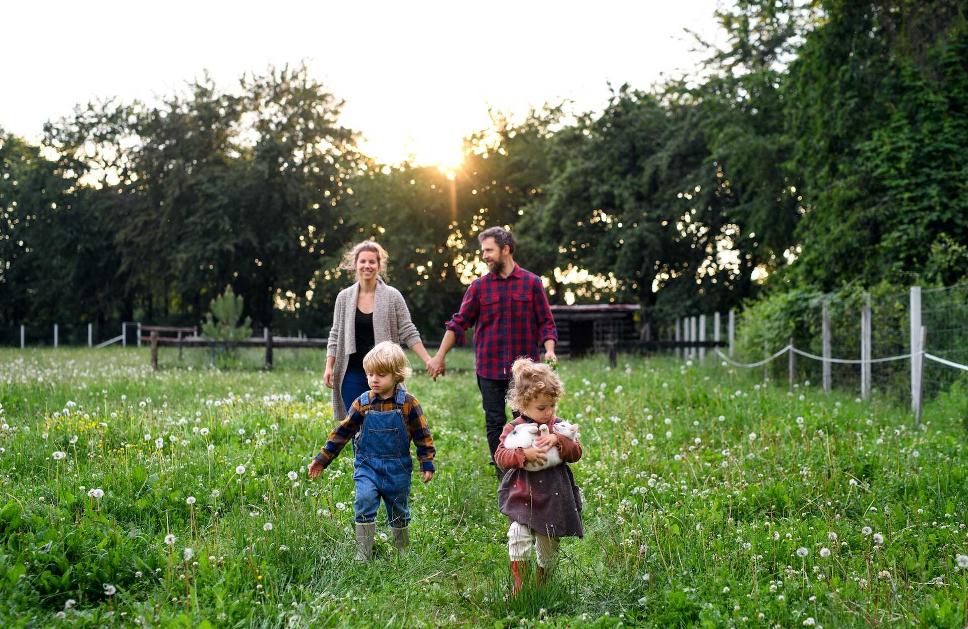 A family walking in a garden with their pet cat