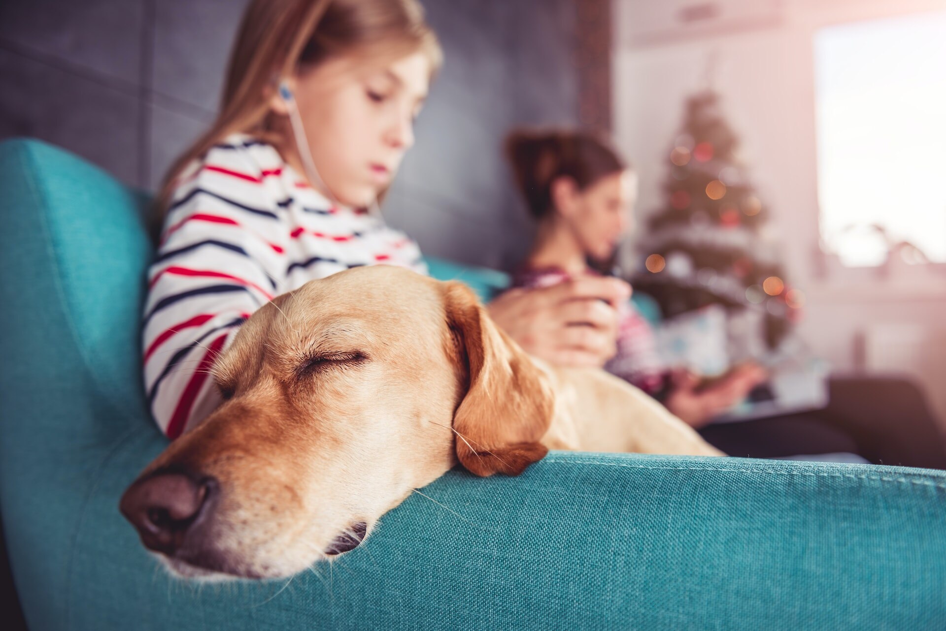 A dog sleeping on a couch next to a mother and child