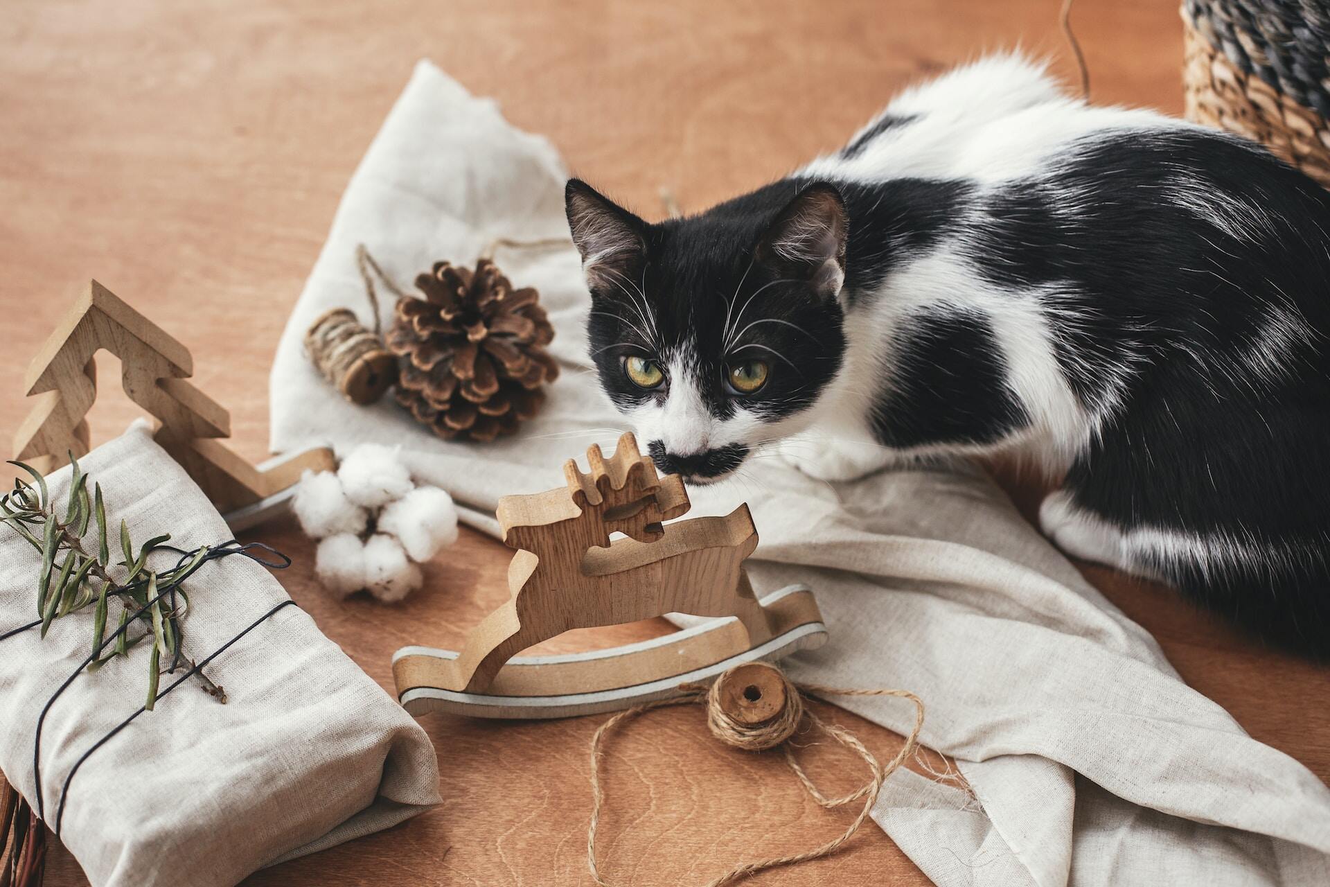 A black and white cat sitting on a blanket in front of a wooden toy