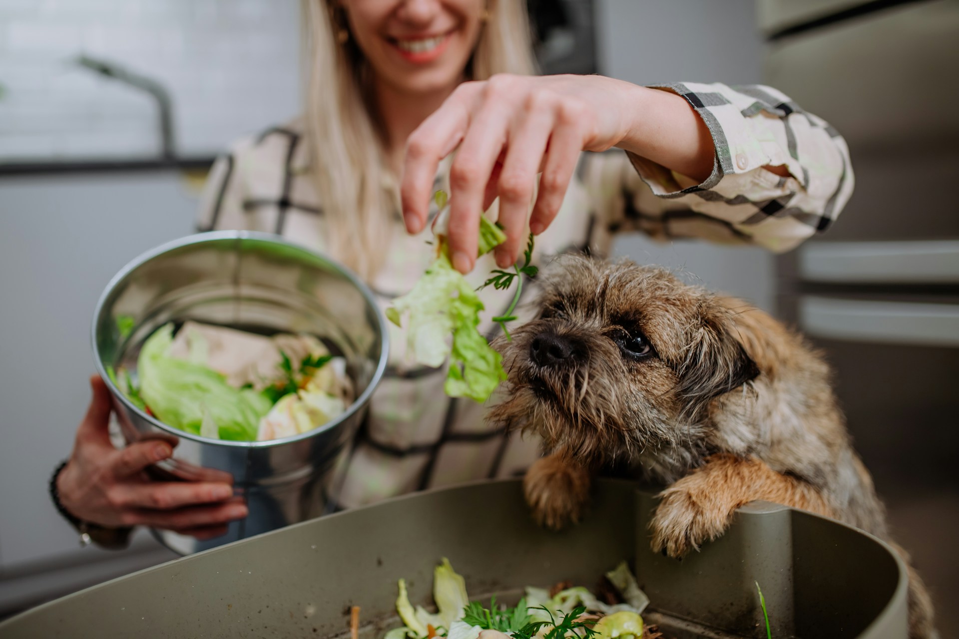 A dog sniffing at a piece of lettuce next to a woman