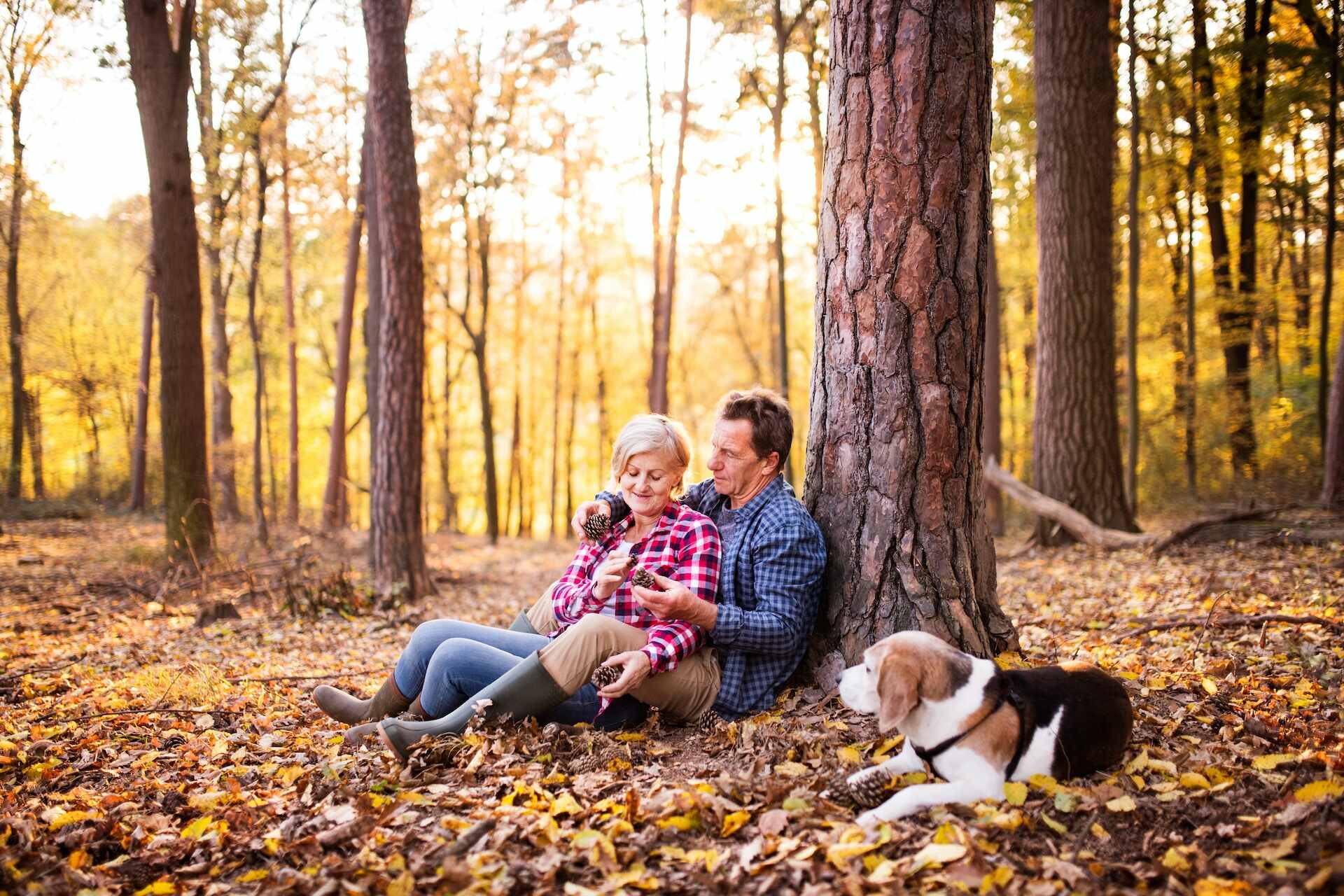 A couple hiking in the woods with their dog