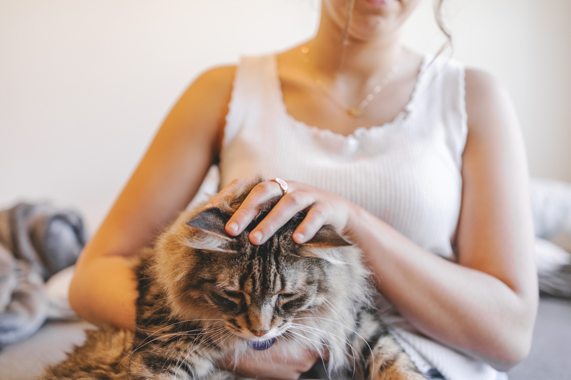 A woman hugging a cat