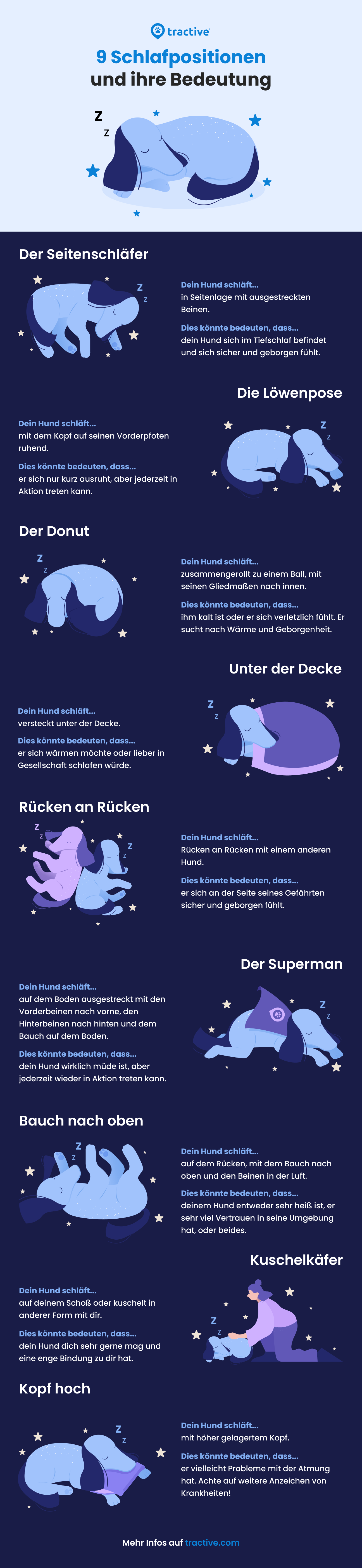 Infographik Schlafpositionen Hund