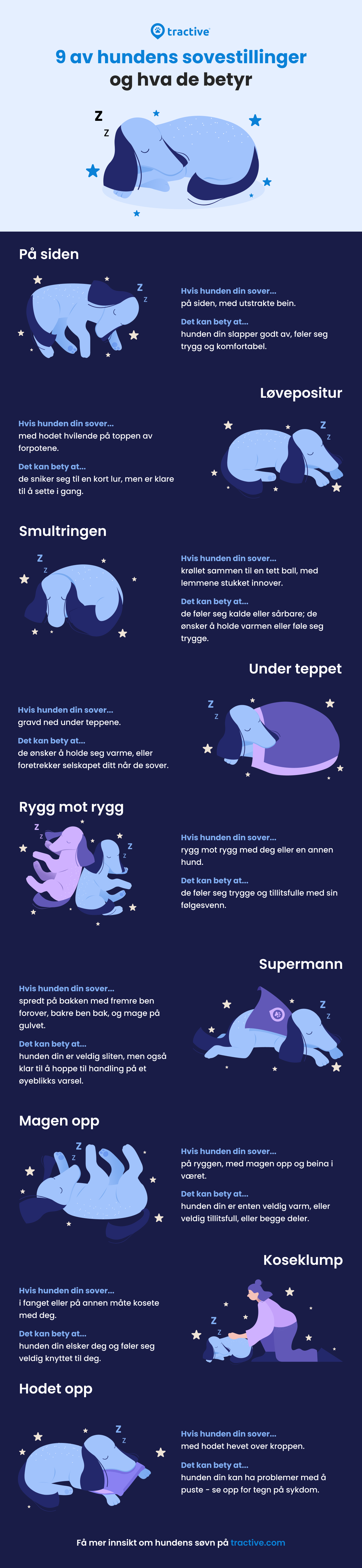 Infografikk: Hundens sovestillinger