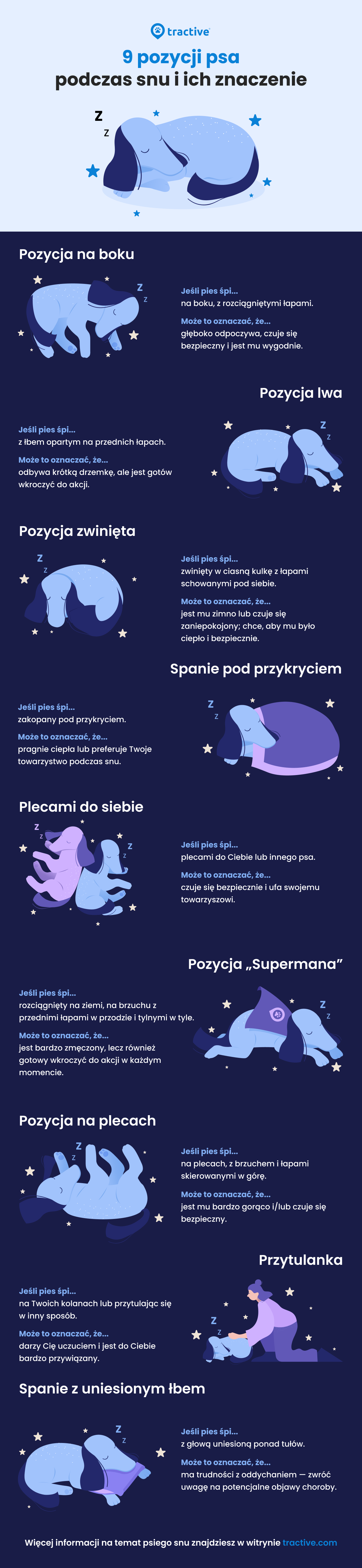 Infografika: Pozycje do spania dla psów