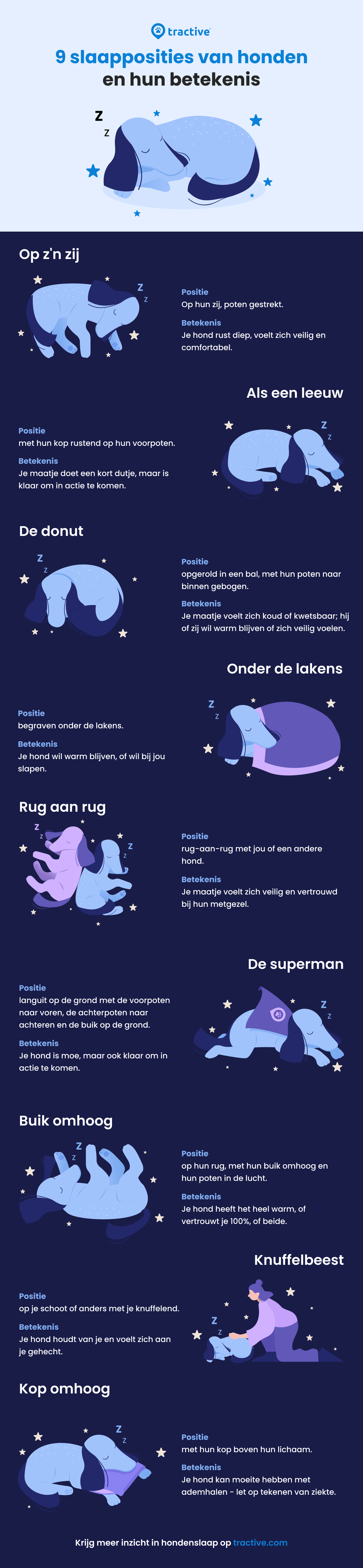 Infographic: Slaapposities voor honden