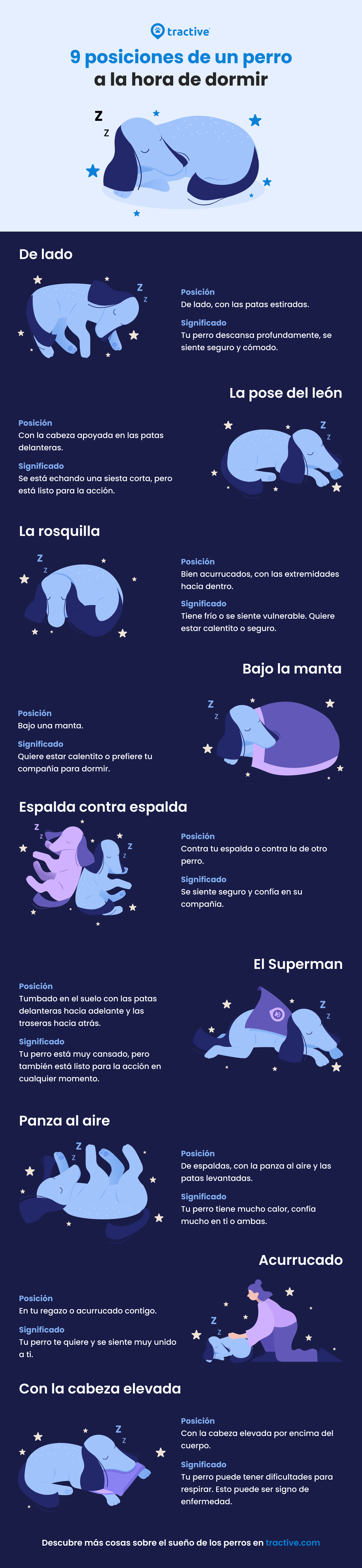 Infografía: Posiciones para dormir del perro