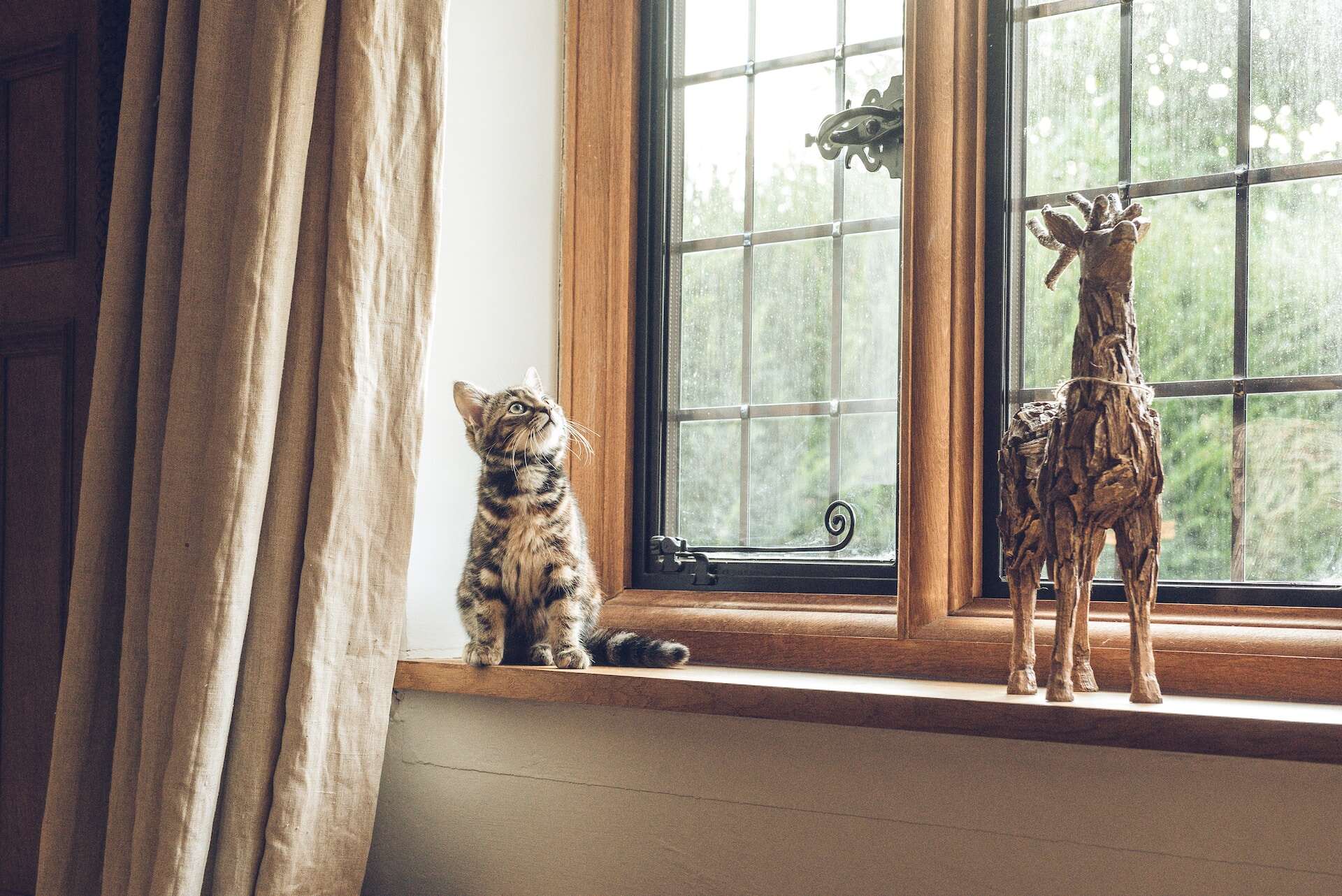 A small cat sitting on a window sill next to a wooden figurine