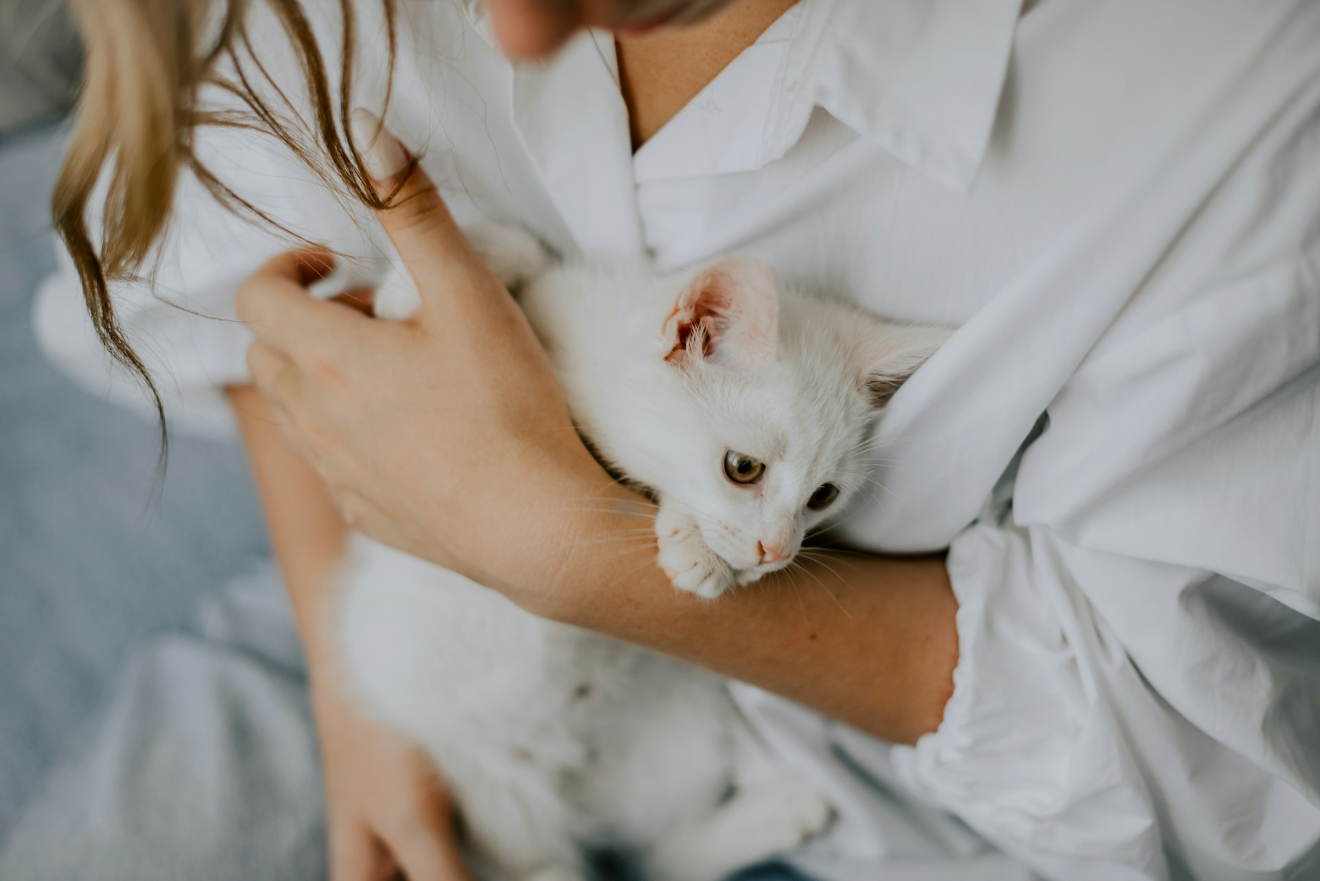 A woman hugging a white cat