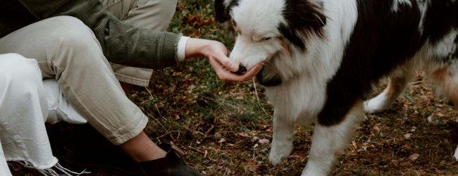 Frau mit ihrem Hund draußen