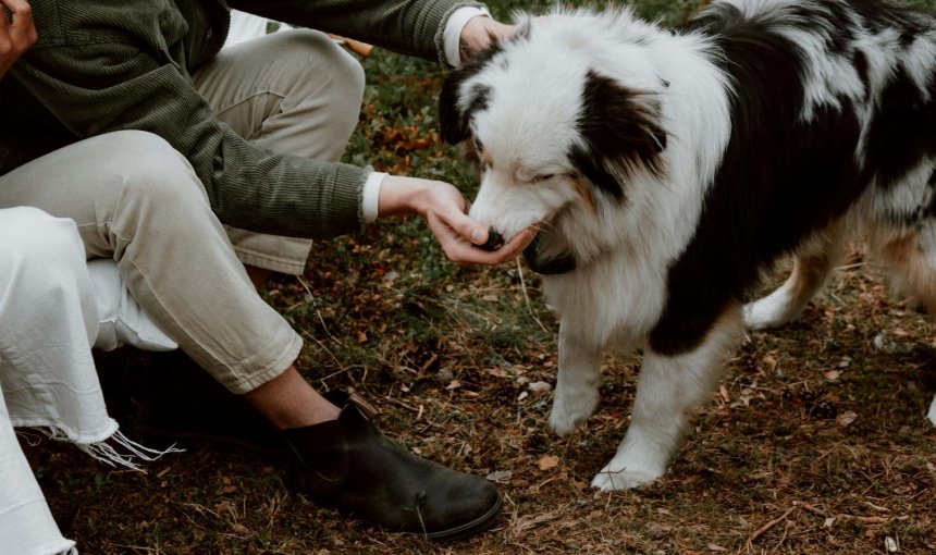 Frau mit ihrem Hund draußen