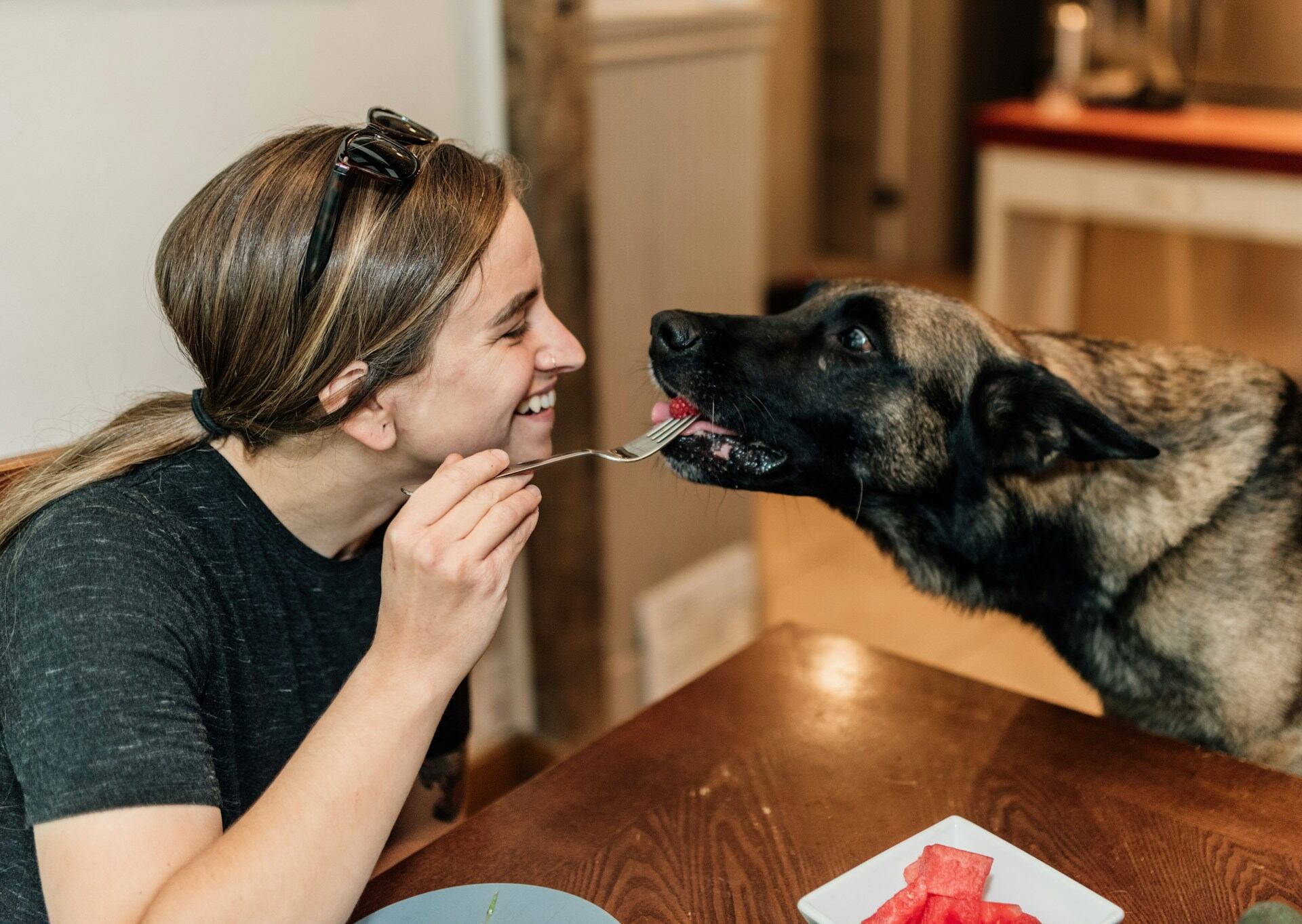 A woman feeding a hungry dog a forkful of food