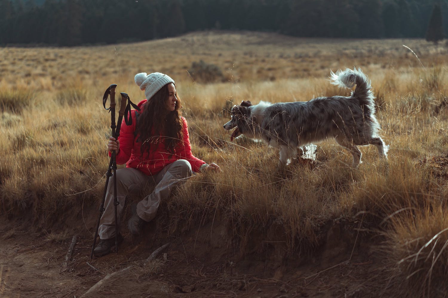 Frau mit Australian Shepherd auf einer Bergwiese