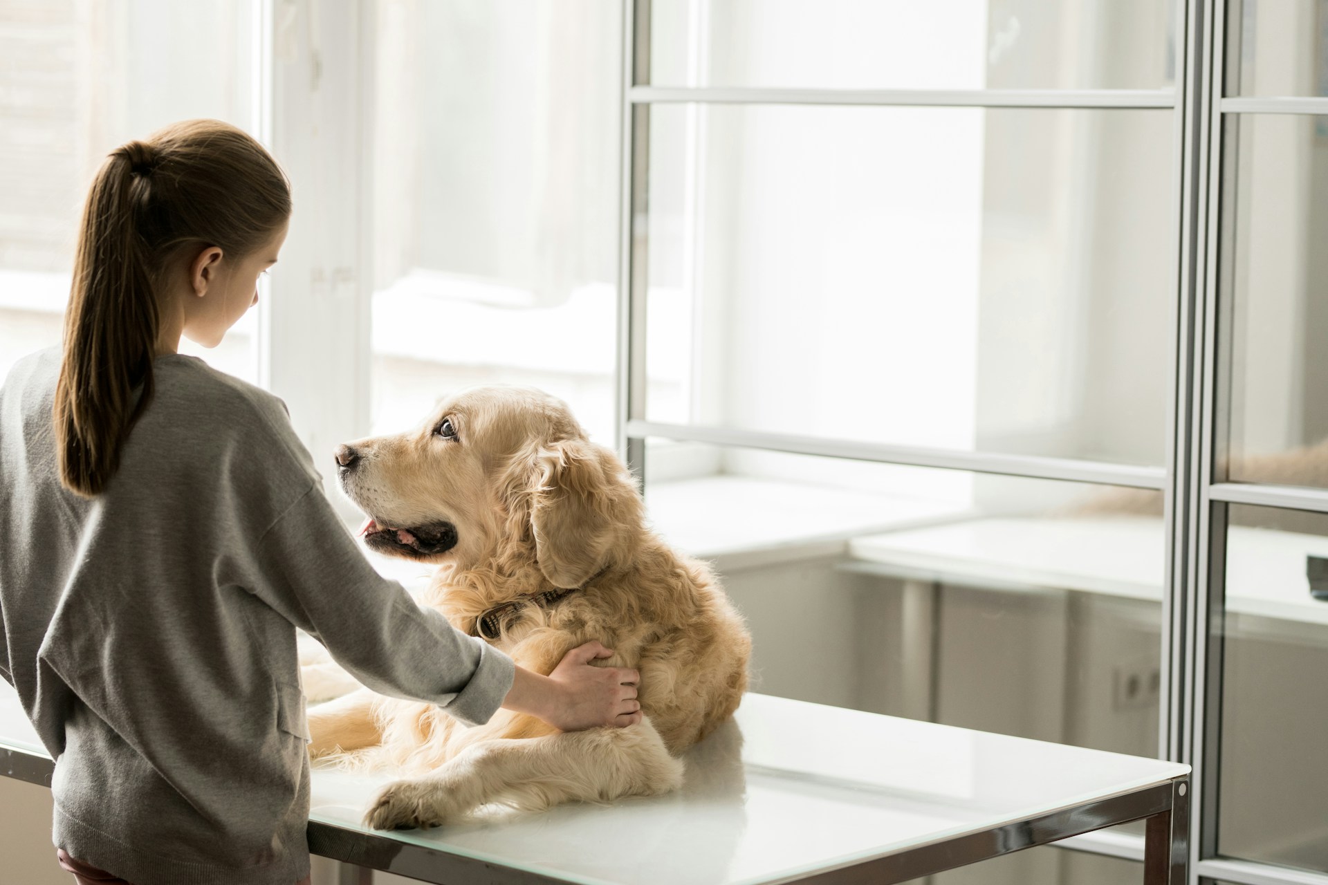 A girl comforting her dog at a vet clinic