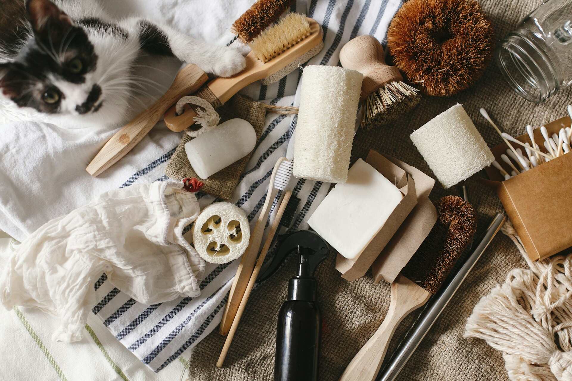 A cat sitting by a heap of brushes and household items