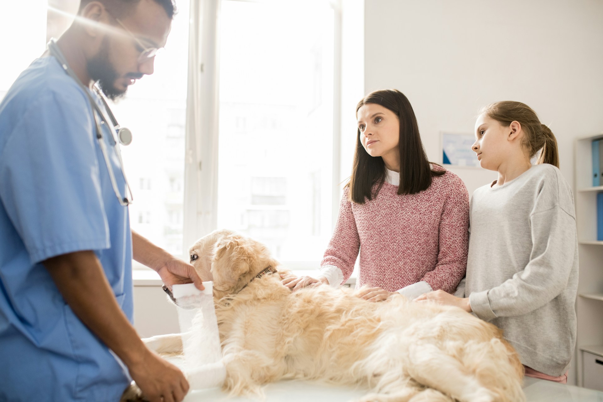 A vet bandaging a dog's leg at a clinic while two women look on