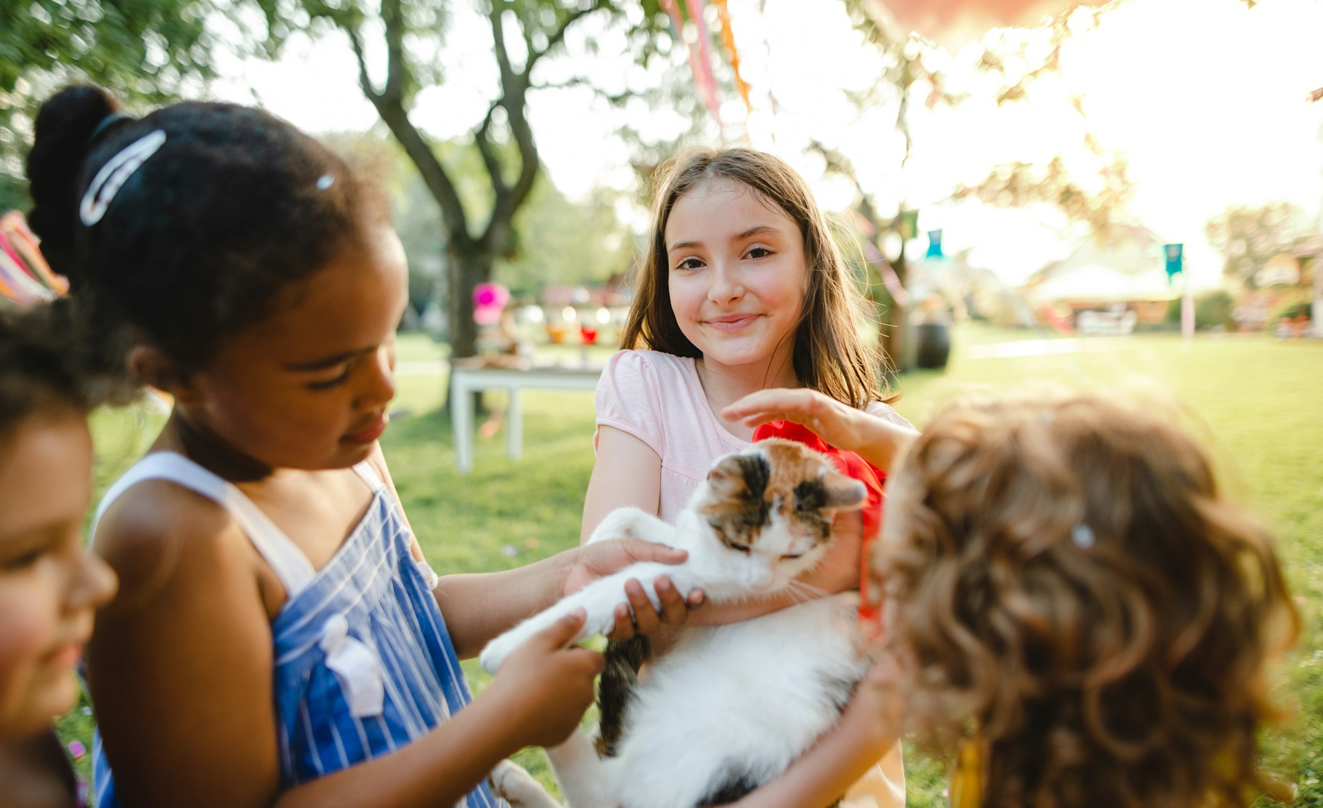 A group of girls playing with a cat in a park