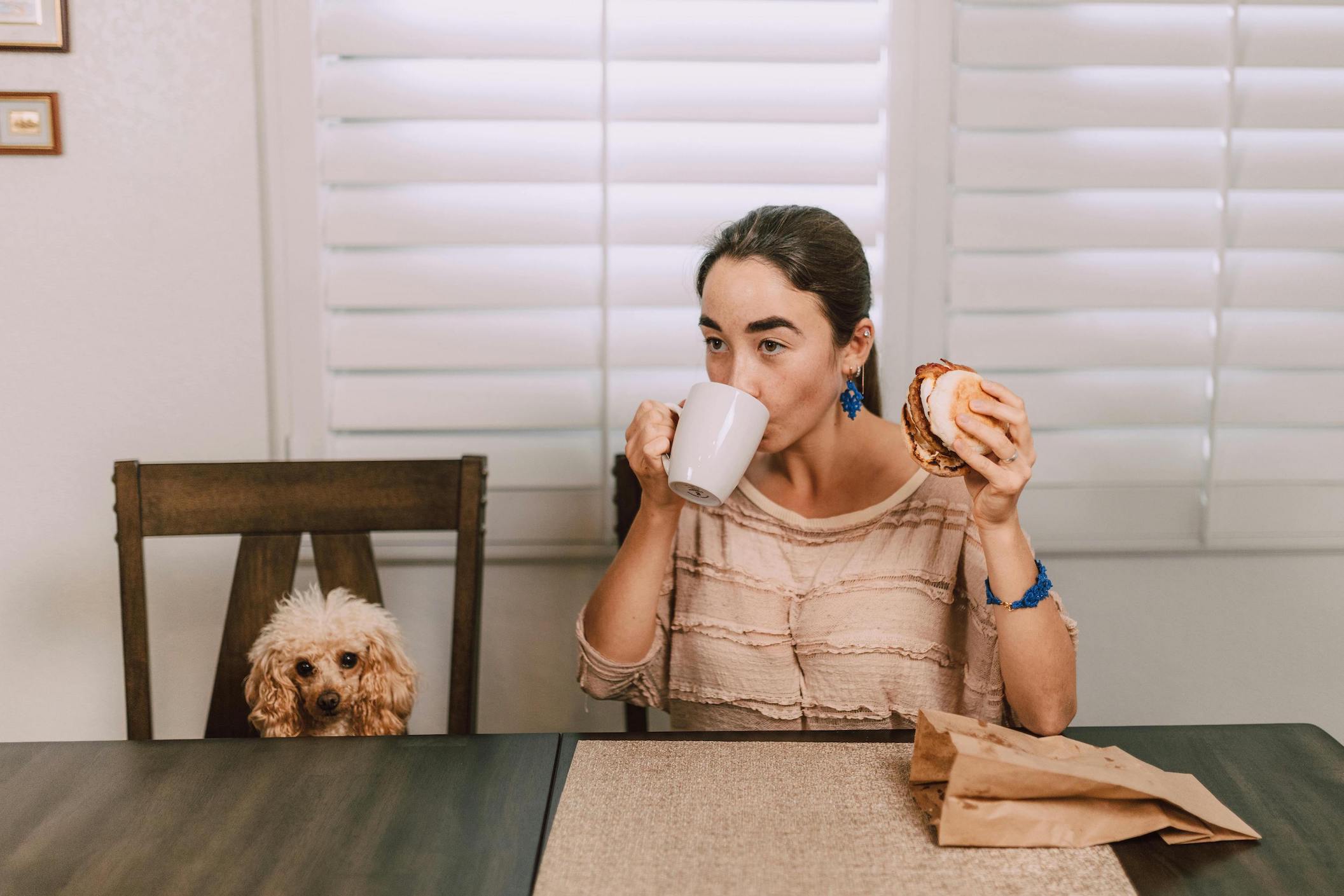 Hund trinkt Kaffee und isst eine Wurstsemmel, Hund sitzt am Stuhl neben ihr