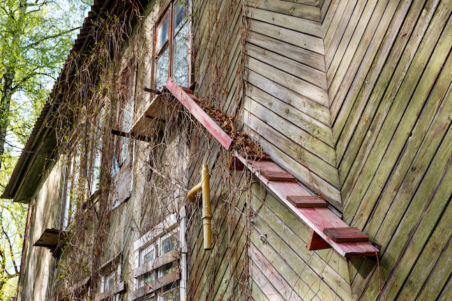 Katzenleiter an der Hausmauer