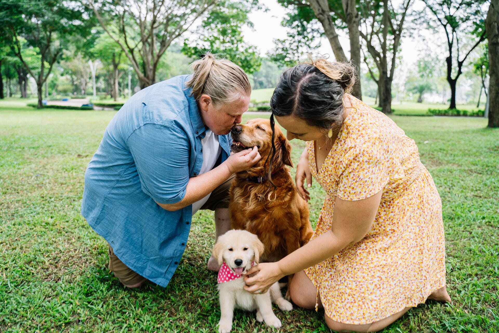 A pair of women with a Golden Retriever and puppy at a park