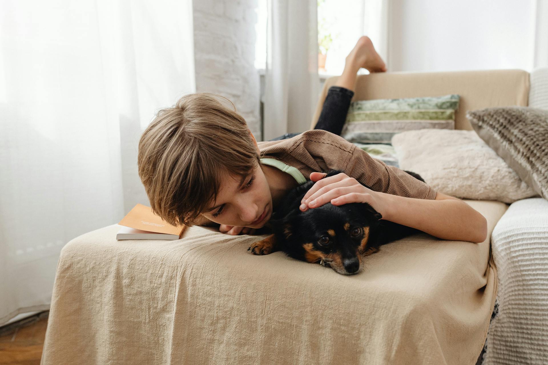 A boy comforting a scared dog in bed