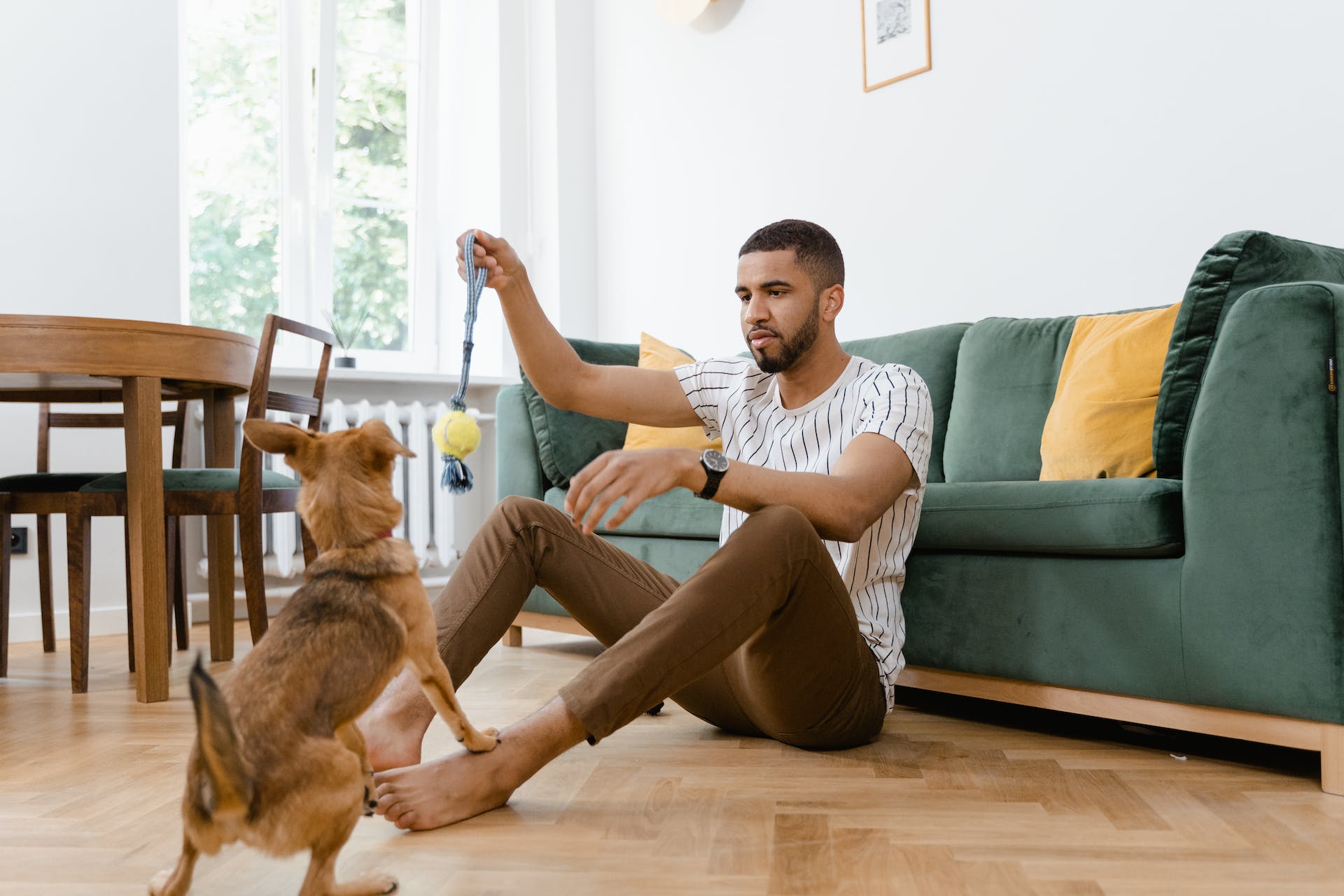 A man playing with his dog indoors