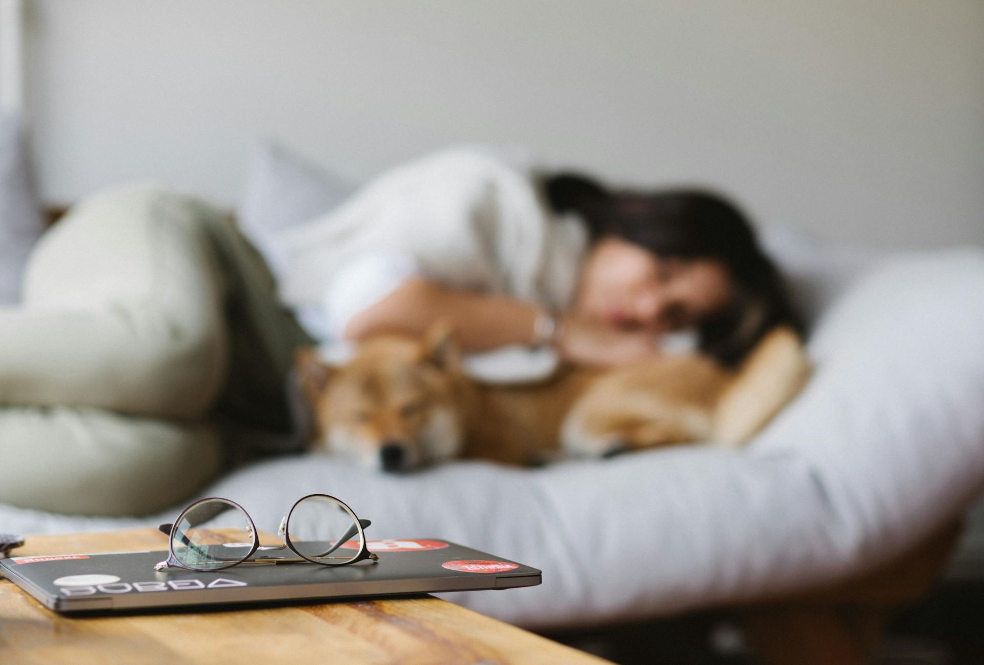 A woman and dog sleeping in bed together